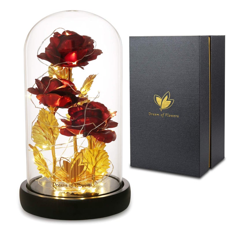 Dream of Flowers Beauty and The Beast Rose,Preserved Flowers Bouquets Gifts,Light Up Rose Flower in Glass Dome,Birthday Gifts for Women,Mom,Girlfriend Wife Anniversary,Valentines,Thanksgiving,Christmas,Wedding - Image 1